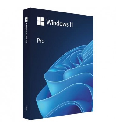 Microsoft Windows 11 Pro